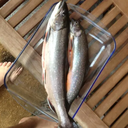 Domek alpejski Waldhaus Ahornau *