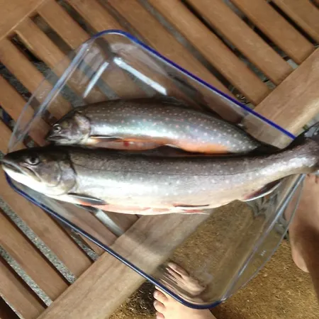 Waldhaus Ahornau 샬레