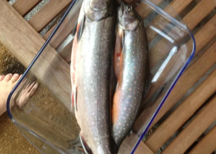 Chalet Waldhaus Ahornau *