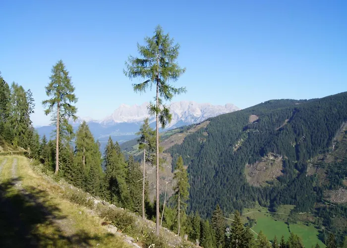 Waldhaus Ahornau Domek alpejski Schladming