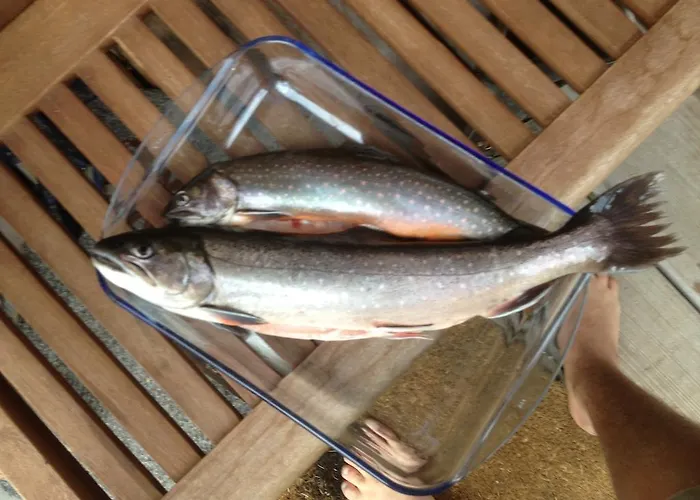 Waldhaus Ahornau Horská chata